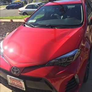 Meet your Posher, Maria